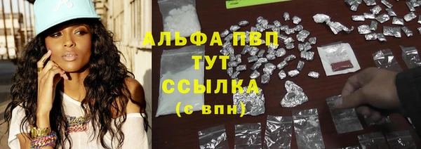 мдпв Инта