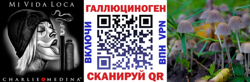 Купить  Новохопёрск  Псилоцибиновые грибы Psilocybine cubensis 